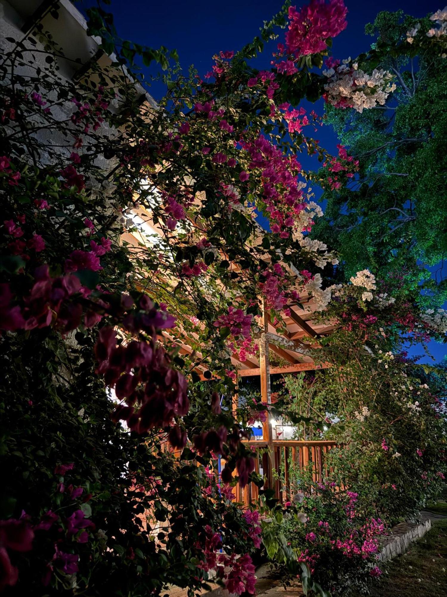 Hotel Jardin Boutique Rodadero Санта-Марта Экстерьер фото