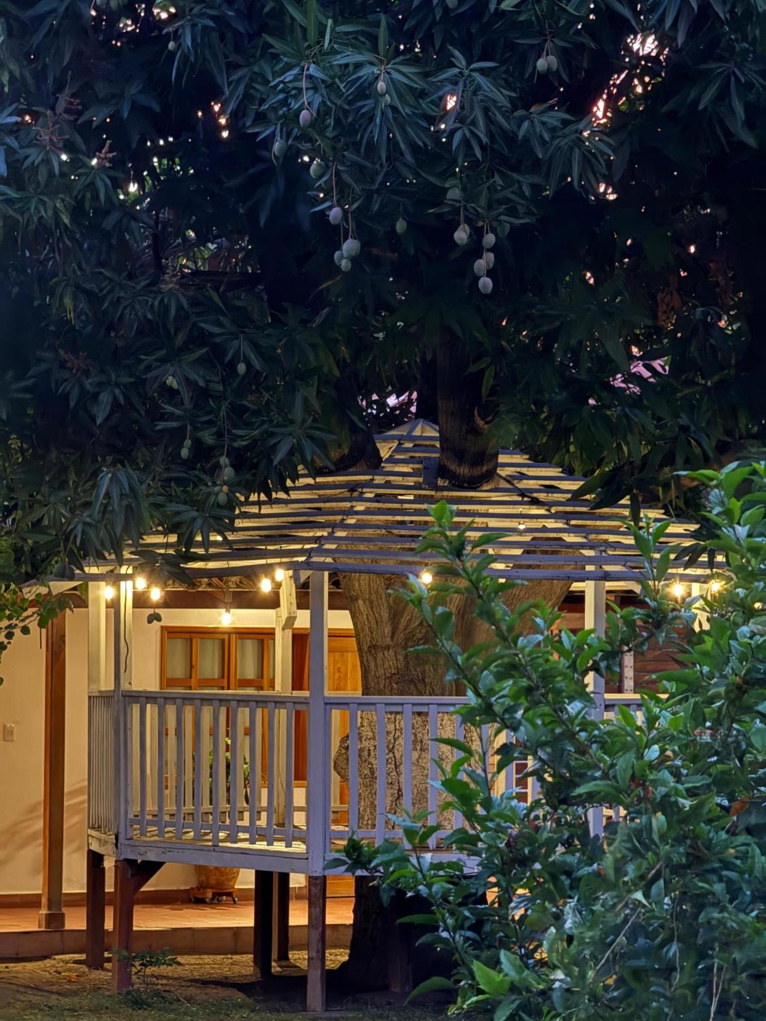 Hotel Jardin Boutique Rodadero Санта-Марта Экстерьер фото