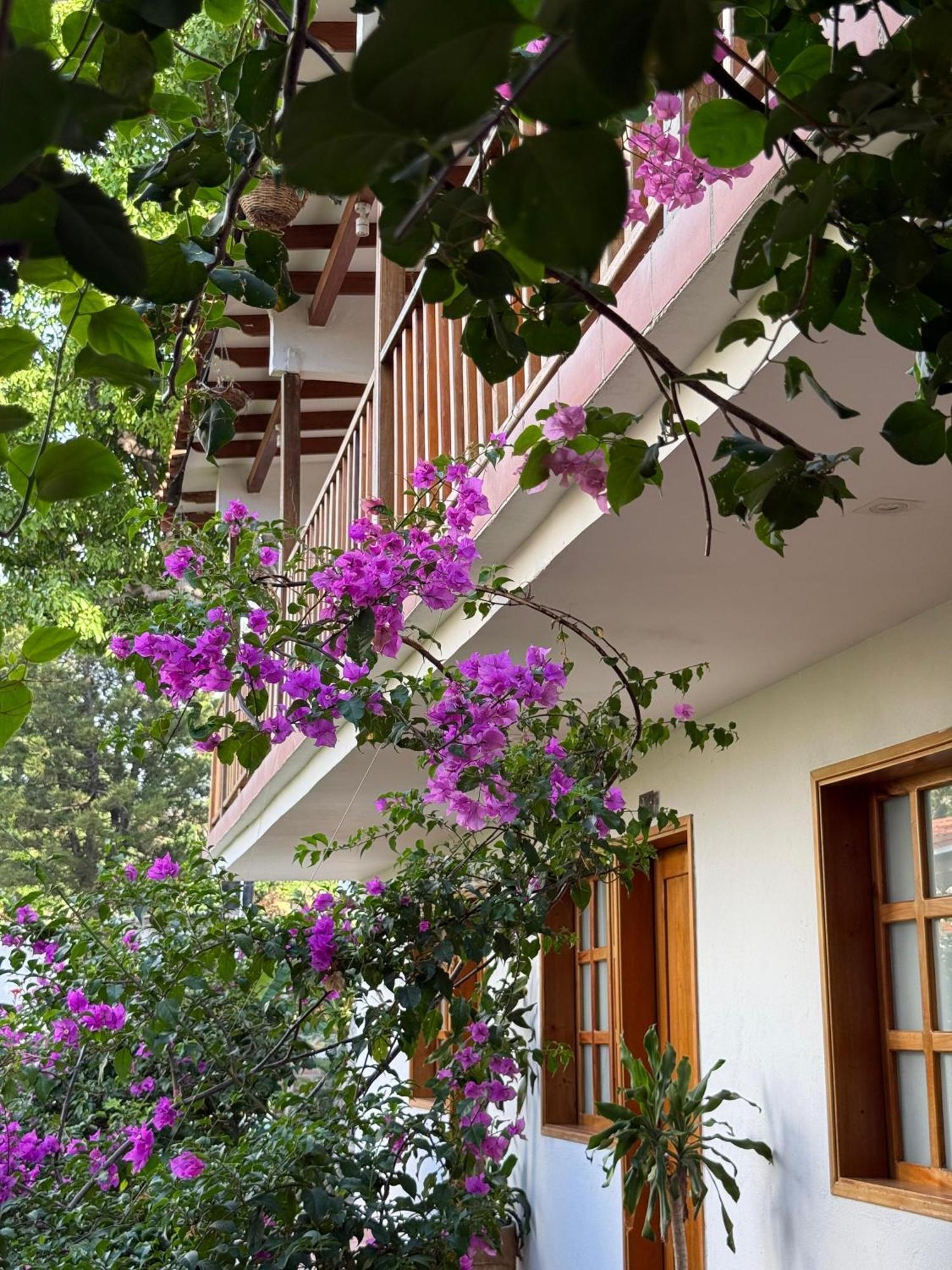 Hotel Jardin Boutique Rodadero Санта-Марта Экстерьер фото